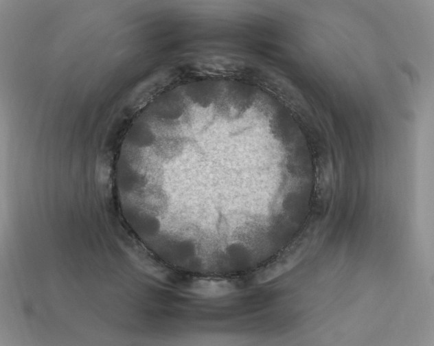 X0000113290749200910131026