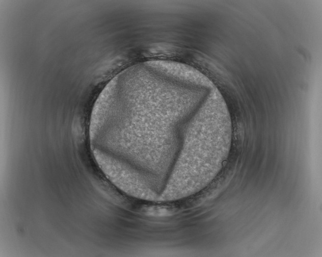 X0000113290751200910131026