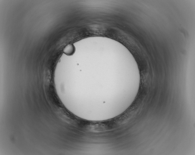 X0000113290752200910131026