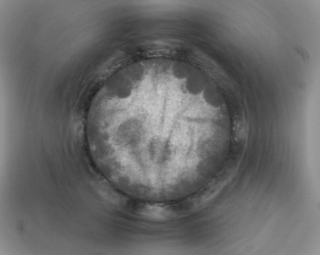 X0000113290753200910131026