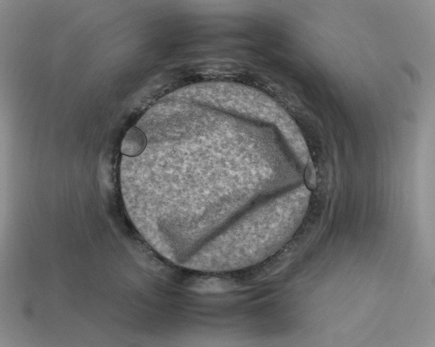 X0000113290755200910131026