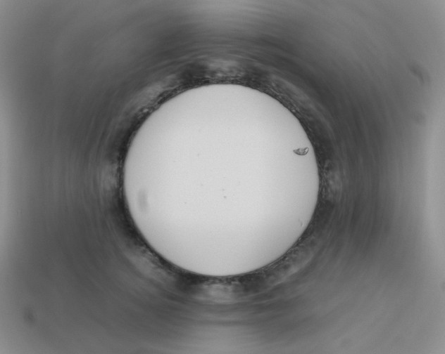 X0000113290756200910131026