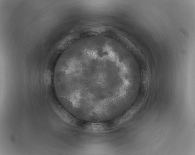 X0000113290758200910131026