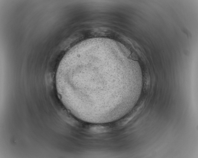 X0000113290759200910131026