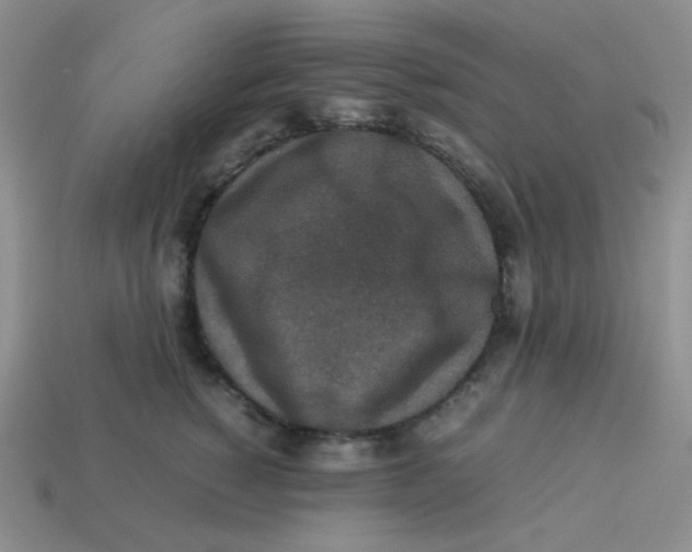 X0000113290760200910131026