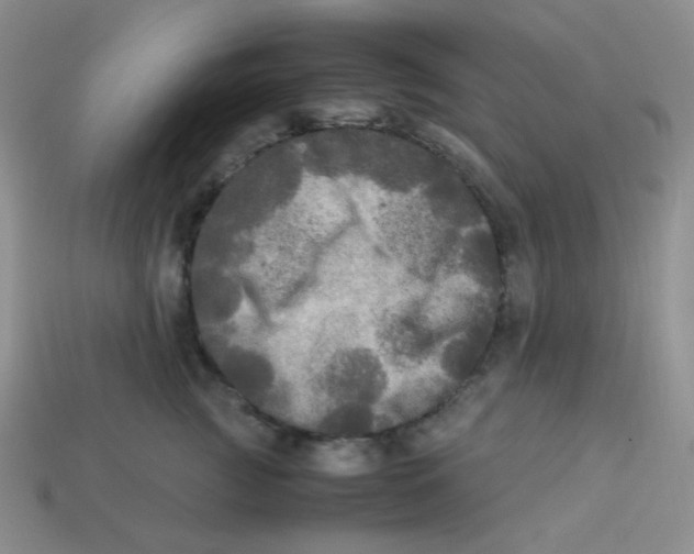 X0000113290761200910131026
