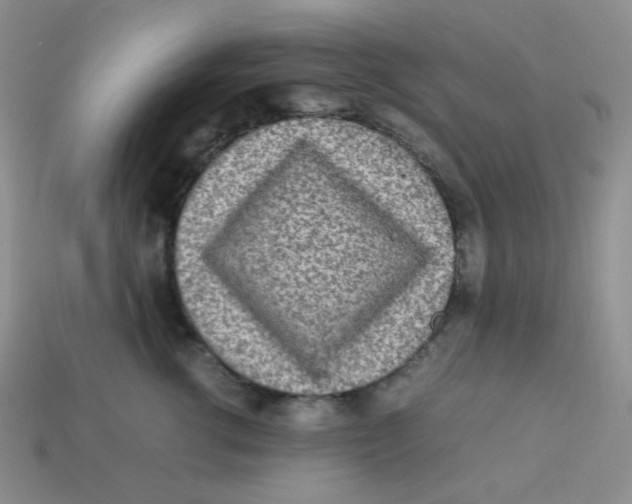 X0000113290762200910131026