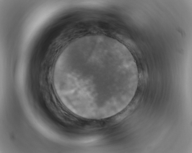X0000113290765200910131026