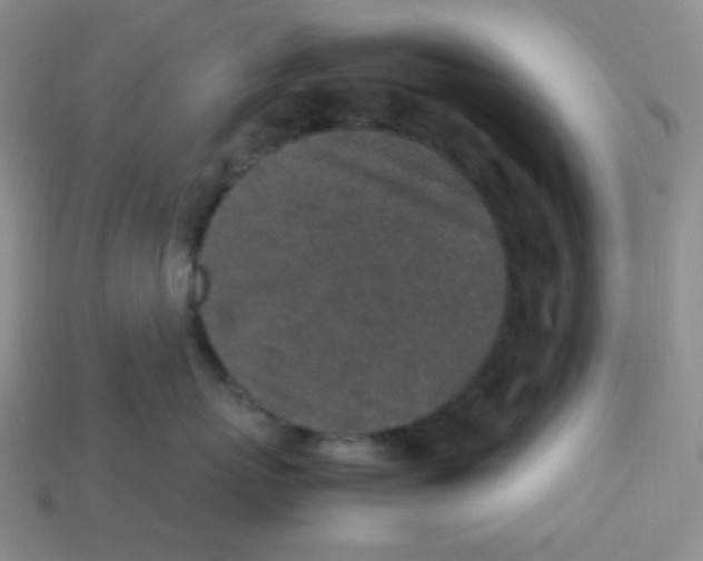 X0000113290767200910131026