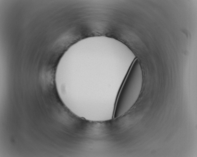 X0000113290768200910131026