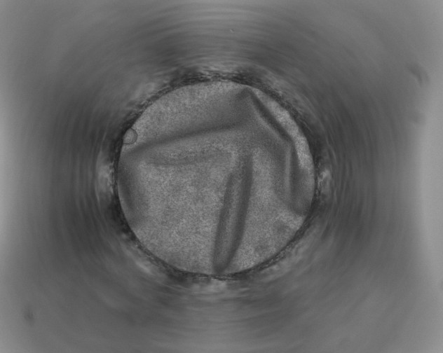 X0000113290772200910131025