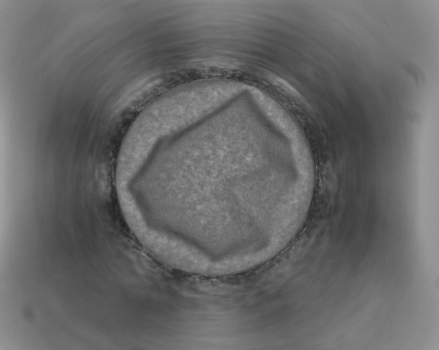 X0000113290774200910131025