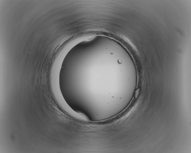 X0000113290777200910131025