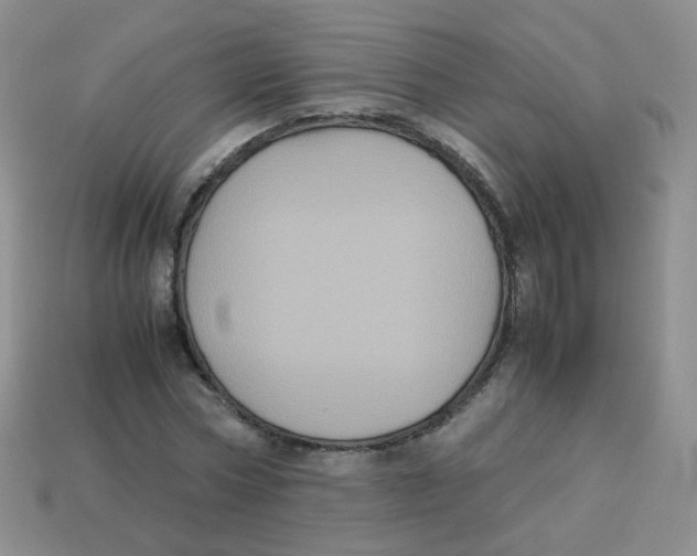X0000113290778200910131025