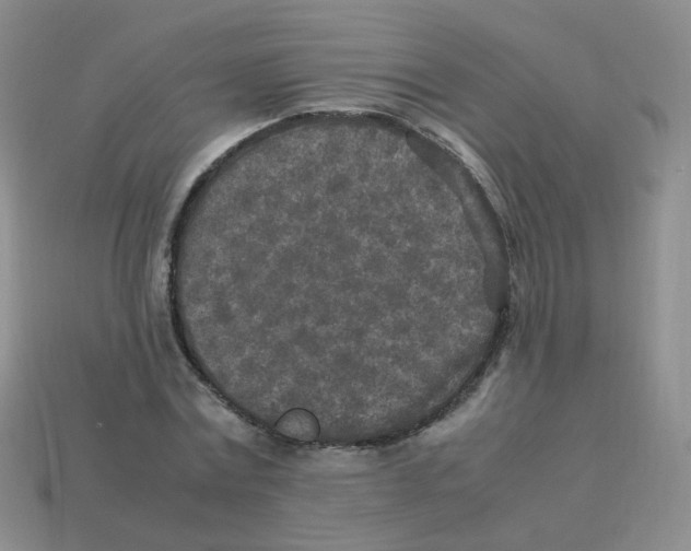 X0000113290779200910131025