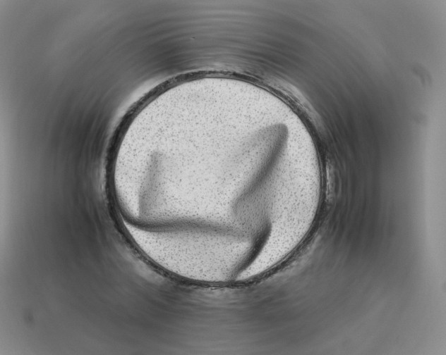 X0000113290780200910131025