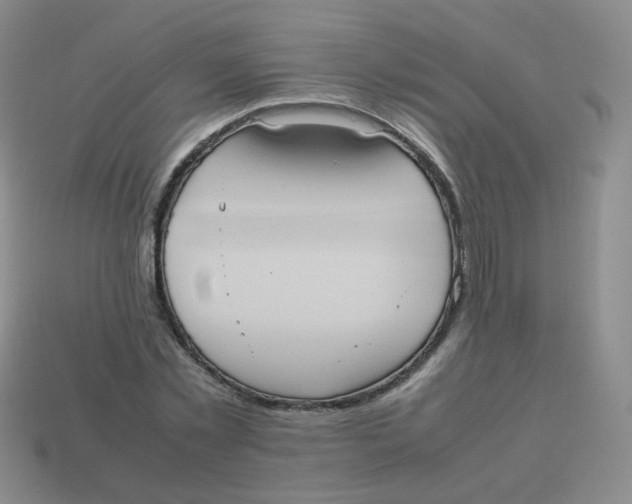 X0000113290781200910131025