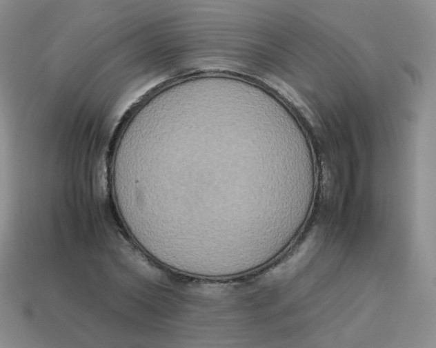 X0000113290782200910131025