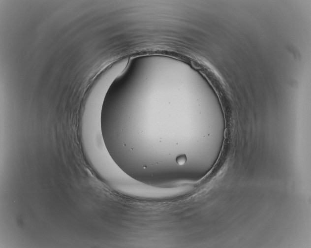 X0000113290785200910131025