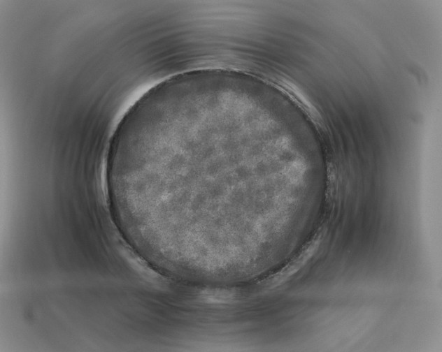 X0000113290788200910131025