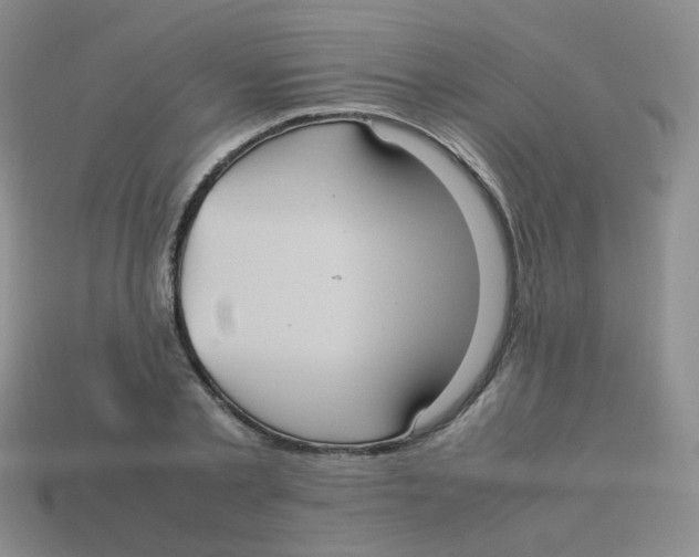X0000113290789200910131025