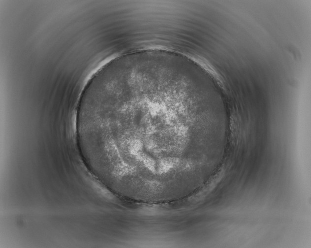 X0000113290790200910131025