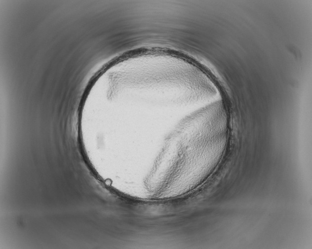 X0000113290791200910131025