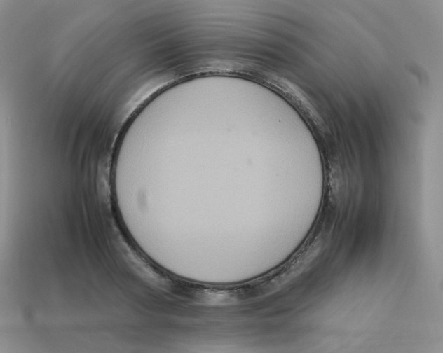 X0000113290794200910131025