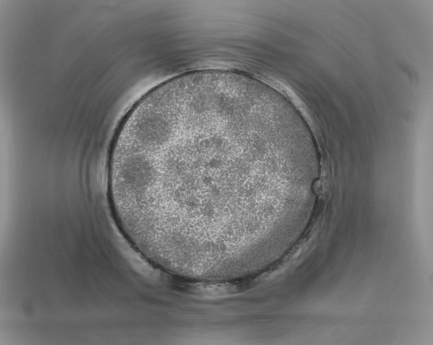 X0000113290795200910131025