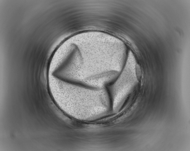 X0000113290796200910131025