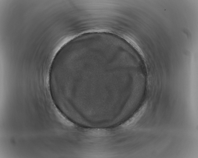 X0000113290797200910131025