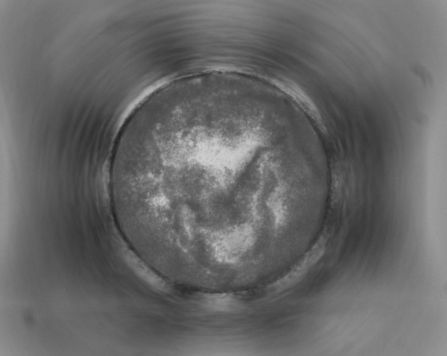 X0000113290798200910131025