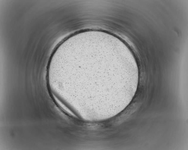 X0000113290799200910131025