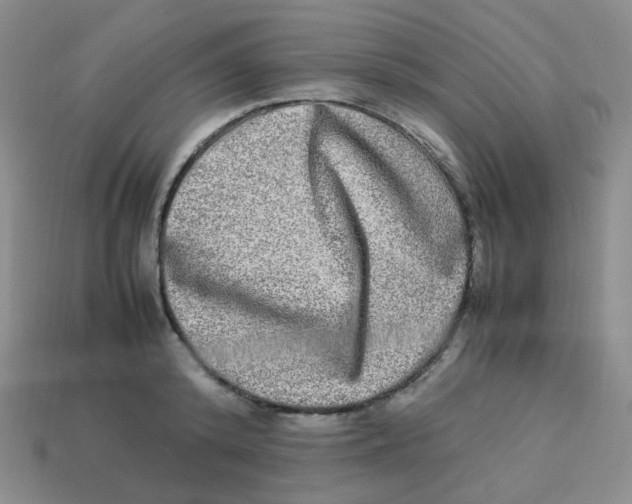 X0000113290800200910131025