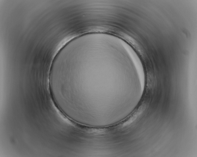 X0000113290802200910131025