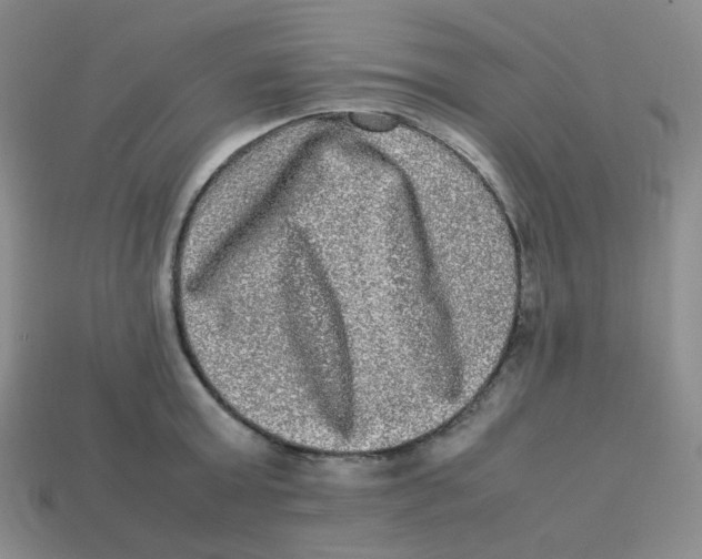 X0000113290803200910131025