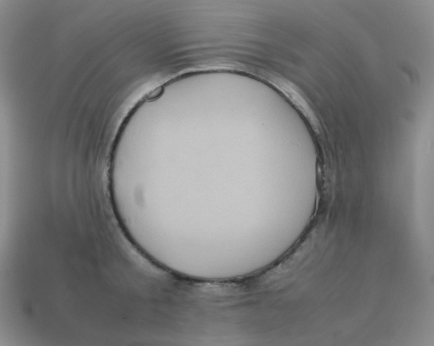 X0000113290805200910131025