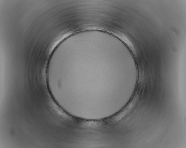X0000113290806200910131025