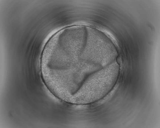 X0000113290808200910131025