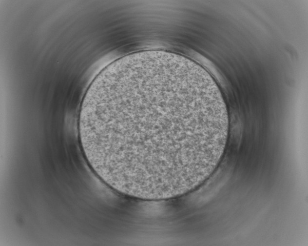 X0000113290810200910131025