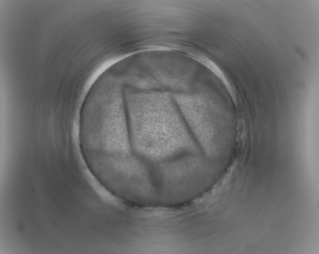 X0000113290811200910131025
