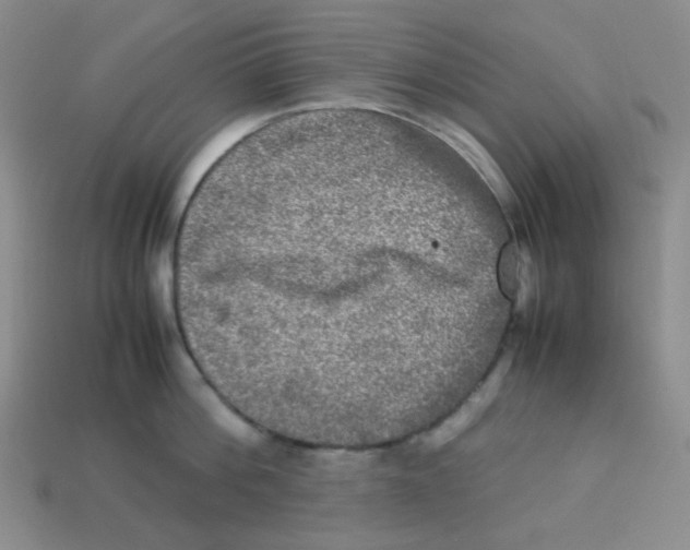 X0000113290812200910131025
