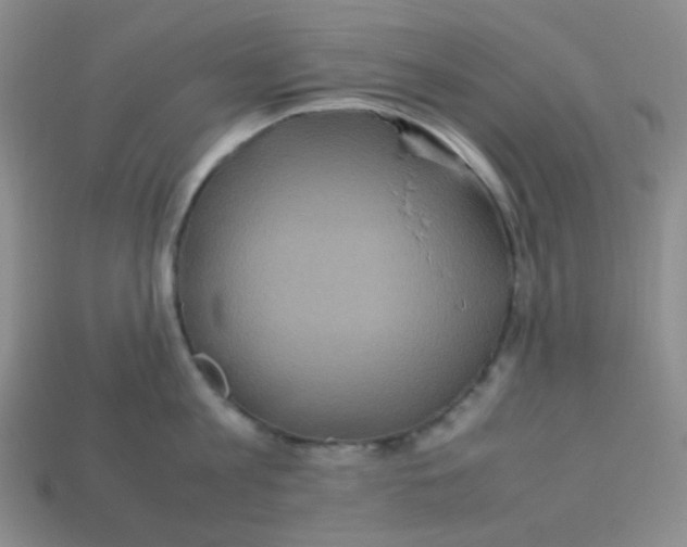 X0000113290813200910131025