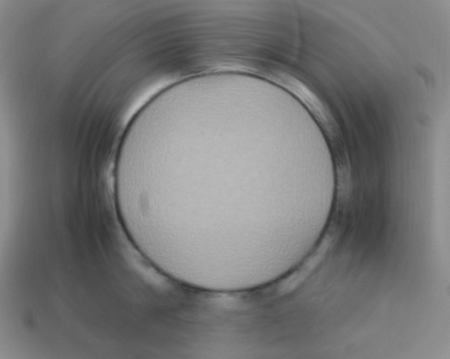 X0000113290814200910131025