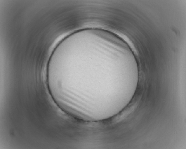 X0000113290815200910131025