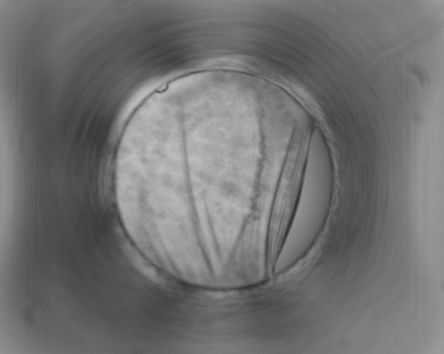 X0000113290816200910131025