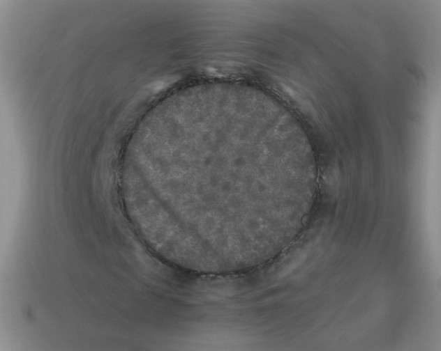 X0000113290817200910131024