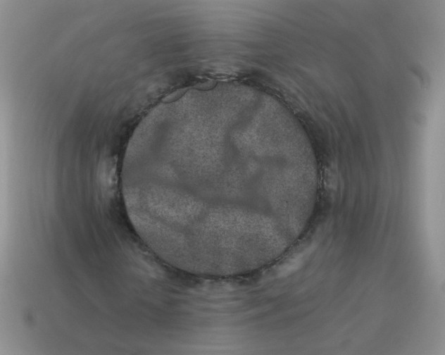 X0000113290818200910131024
