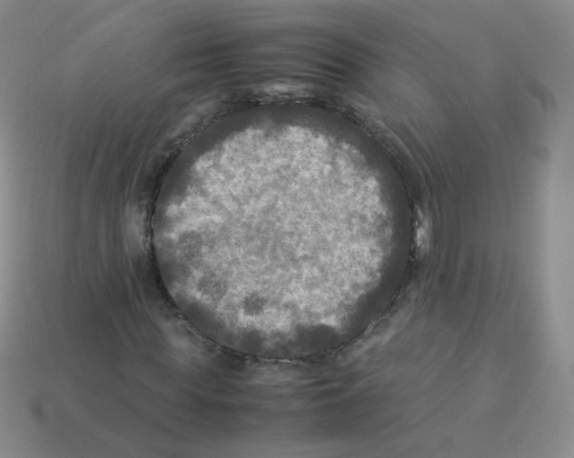 X0000113290819200910131024