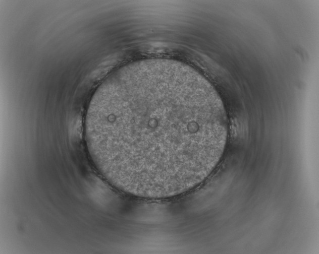 X0000113290820200910131024